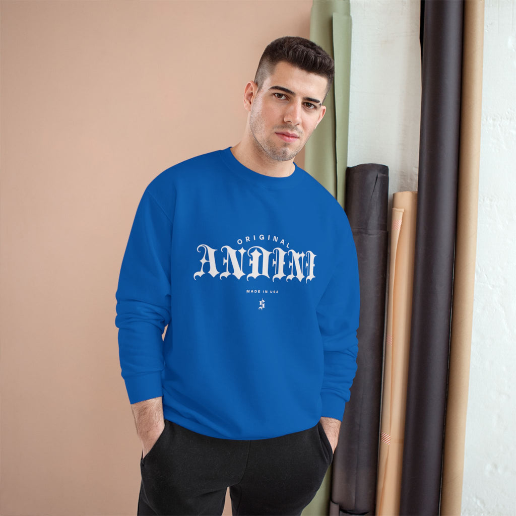 Champion Sweatshirt
